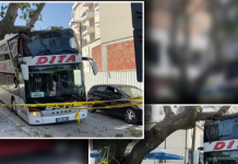 Aksident në Vlorë, pema i “del” para autobusit me turistë (VIDEO)