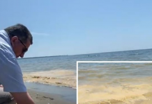 Zverdhet bregdeti i shëngjinit,shqetësohen turistët,ekspertët shpjegojne fenomenin