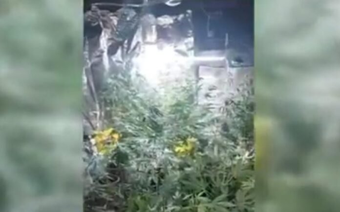 auto_Screenshot_11708867313