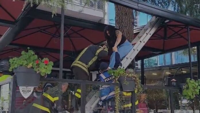 1709655602_tendadurres