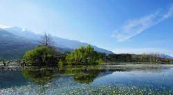 Screenshot_20240307-154440_Instagram