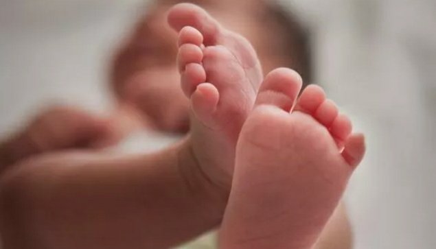 Screenshot_20240402-181235_Instagram