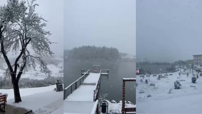 Untitled-design-2-1 (1)