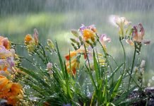 Kushte të paqëndrueshme atmosferike, ja zonat ku priten reshje shiu