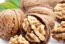 6 Ushqimet që Mbështesin Rigjenerimin e Qelizave