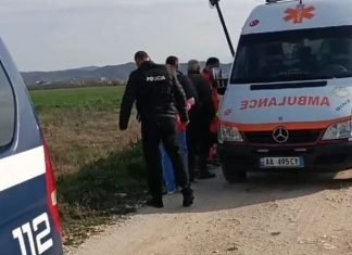 I dehur në timon, shoferi përplas furgonin. Plagosen 5 pasagjerë