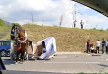 Përplaset karroca me kafshë, plagoset 37-vjeçari në Elbasan