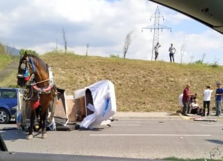 Përplaset karroca me kafshë, plagoset 37-vjeçari në Elbasan