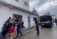 Akuzohet se hodhi helm në tokën ku kullosnin bagëtitë e fqinjit dhe i helmoi, nis procedimi për të moshuarin në Peqin