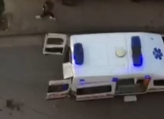 Një e moshuar bie nga taraca e azilit