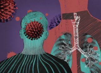 E thotë studimi i ri: Fragmente “zombi” të Covid-19 qëndrojnë në trup me vite. Ja çfarë shkakton