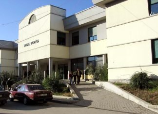 35-vjeçari humb jetën pas vetëplagosjes me armë gjahu