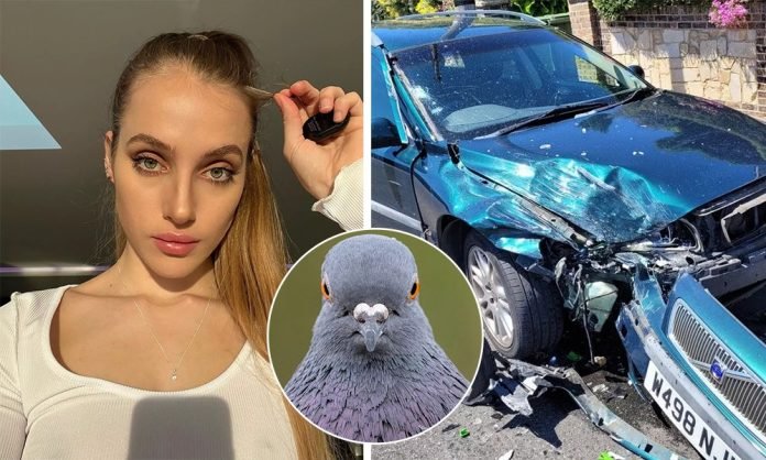 WhatsApp-Image-2025-03-10-at-12.16.15