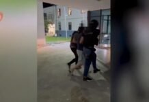 kapet me kanabis 18-vjeçari në Elbaan