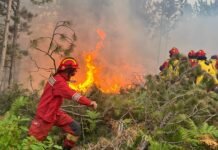Zjarret e verës, ja sa lekë merr bashkia e Gramshit dhe bashkitë e tjera?