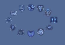 Marrëdhëniet romantike mund të marrin një kthesë të papritur…, parashikimi i horoskopit për sot