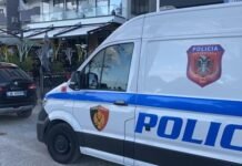 I shau të vëllain, i mituri grushton për vdekje 55-vjeçarin!