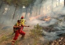 Gramsh: Fillon shpërndarja e dëmshpërblimeve për dëmet nga zjarret