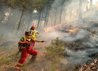 Gramsh: Fillon shpërndarja e dëmshpërblimeve për dëmet nga zjarret