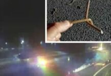 Tentativë grabitjeje/ Grupi i armatosur sulmon dy furgonët që transportonin para në Itali