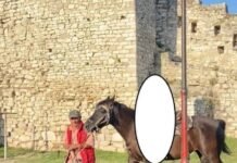 Vrau vizitorin në sy të familjes pas sherrit për kalin, Gjykata e Beratit cakton masë sigurie arrest me burg për, Kristo Mema