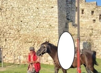 Vrau vizitorin në sy të familjes pas sherrit për kalin, Gjykata e Beratit cakton masë sigurie arrest me burg për, Kristo Mema