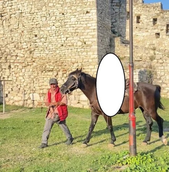 -640-0-1761729077xwhatsapp-image-2025-10-28-at-171236-1-1-441x450-773