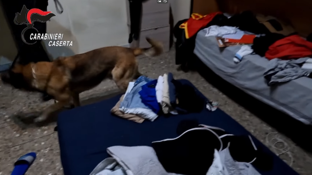 -640-0-screenshot-2025-10-26-153832-1761489559