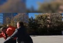 Del video me pamjet kur deputeti shqiptar godet me grushta një qytetar