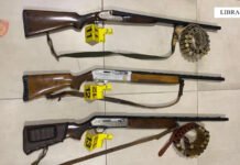 Parandalohet gjuetia e paligjshme në Parkun Kombëtar të Shebenikut, procedohen 3 persona nga Elbasani