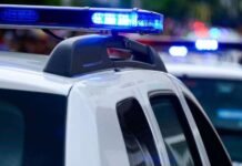 Dhunoi për vdekje 58-vjeçarin grek, arrestohet emigranti shqiptar bashkë me babanë (EMRAT)