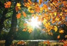 Parashikimi i motit për sot, 30 tetor 2025