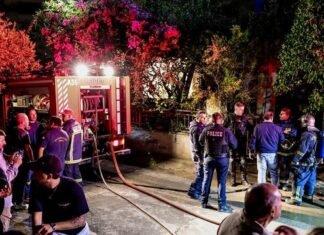 Ngjarje e rëndë në Greqi! djali djeg të gjallë nënën dhe xhaxhanë, më pas hidhet nga ballkoni