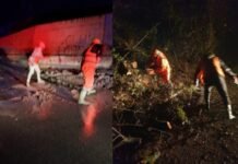 Reshjet rikthejnë problemet në qarkun Elbasan, rrëshqitje dherash dhe ndërprerje energjie në zonat malore