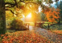 Në dashuri mund të lindin keqkuptime të vogla…, parashikimi i horoskopit për sot