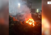 Gjykata e Elbasanit liron nga paraburgimi 16 të arrestuarit për ndotjen masive në Metalurgji