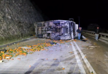 Përmbyset kamioni në aksin Levan–Tepelenë, mbush rrugën me portokalle