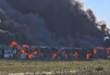 Policia jep detaje pë zjarrin/ Parku me autobusë të vjetër u përfshi nga flakët
