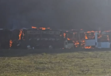 Marrin flakë disa autobusë në Durrës