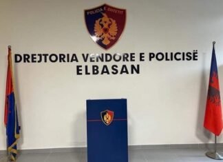 Ndryshime në Policinë e Shtetit, emrat e drejtorëve potencialë për Elbasanin dhe Korçën