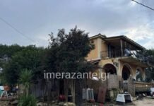 Kafshimi i pitbullit i mori jetën djalit 18 muajsh, flet babai i foshnjës: E kisha marrë nga rruga