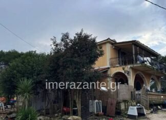 Kafshimi i pitbullit i mori jetën djalit 18 muajsh, flet babai i foshnjës: E kisha marrë nga rruga