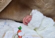 Foshnja u braktis nga nëna në maternitetin e Korçës, gazetari rrëfen historinë prekëse dhe jep lajmin e mirë