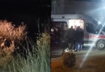 Kamionçina humb kontrollin dhe bie në përrua, 4 të plagosur. 2 prej tyre transportohen me urgjencë drejt spitalit të Traumës në Tiranë