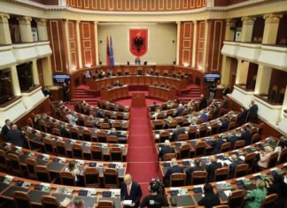 Dieta ushqimore, karburant, telefon të paguar: Sa na kushton një deputet?