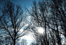 Ditë e kthjellët në të gjithë vendin… parashikimi i motit për sot