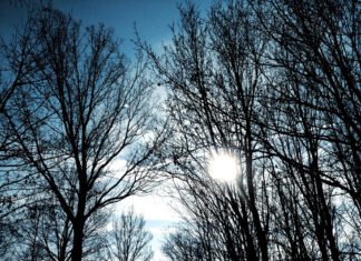 Kthjellime e vranësira të dendura! Parashikimi i motit për ditën e sotme