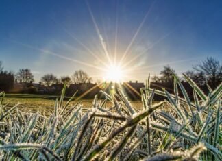 Parashikimi i motit për ditën e sotme, 25 shkurt 2026