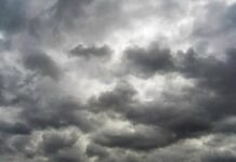 Parashikimi i motit për sot, 01 dhjetor 2025