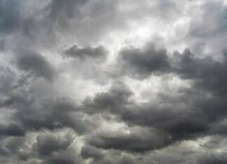 Parashikimi i motit për sot, 01 dhjetor 2025